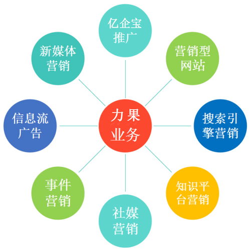 新公司杭州网络推广攻略 高效启动网络营销的实战指南